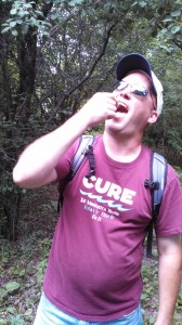 PSSNA hike guide and MN Master Naturalist, Matt Kubly, eats a delicious black raspberry.