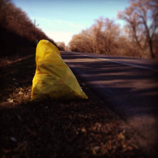 Fall 2013 CURE Highway clean-up