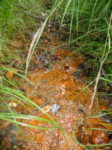 Acid mine drainage. Photo by Friends of the Boundary Waters Wilderness.