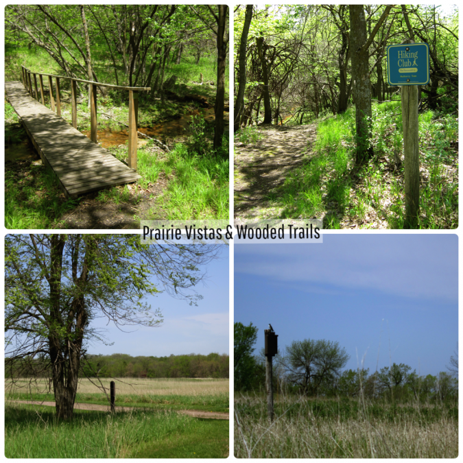 BSL State Park Collage