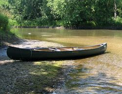 canoechipp