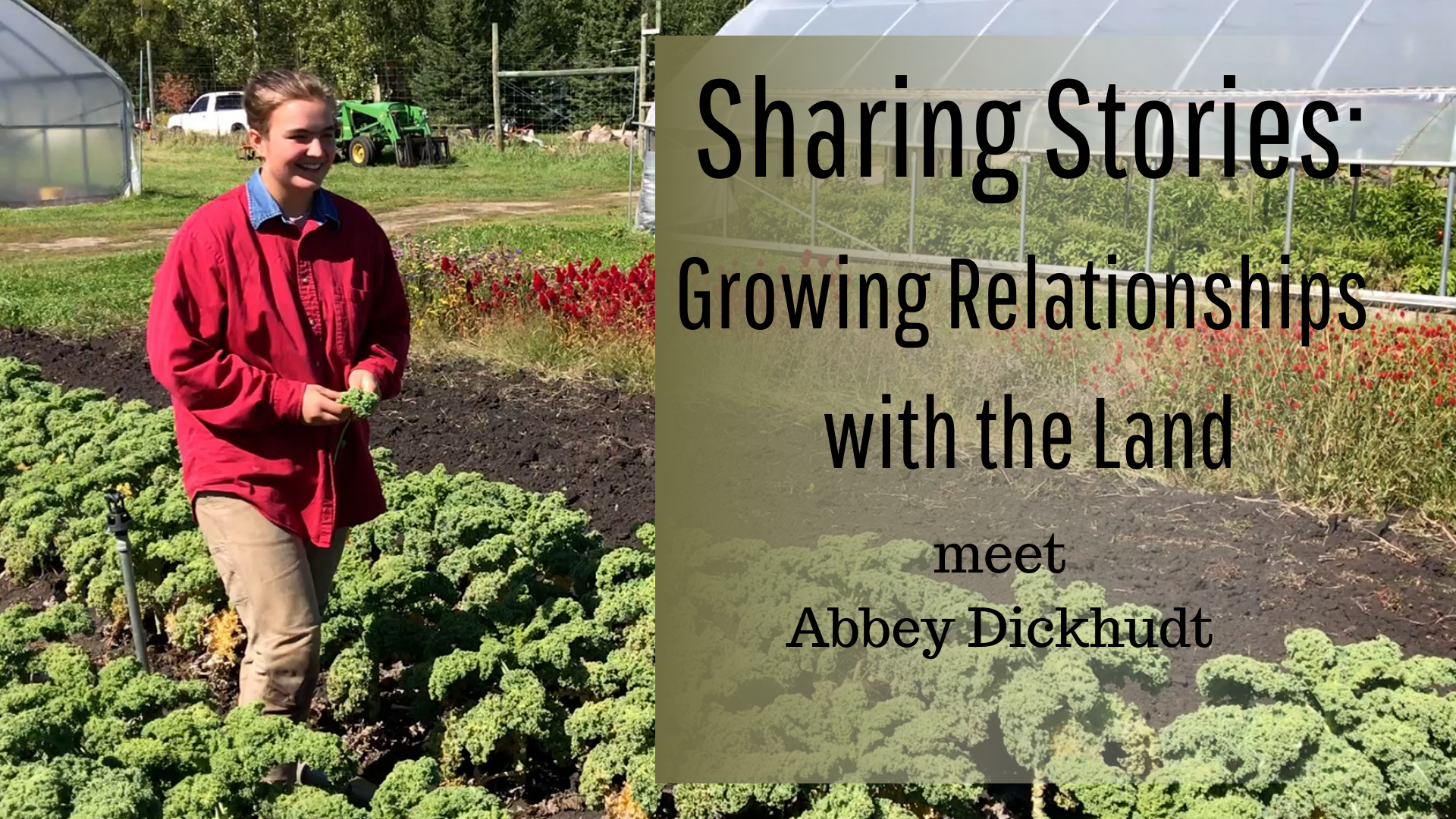 Abbey Dickhudt in a vegetable field - sharing stories