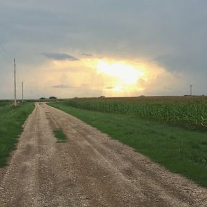 rural driveway, corn & sky
