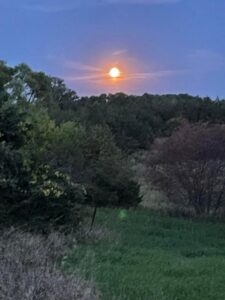 Cedar Hills at moon rise